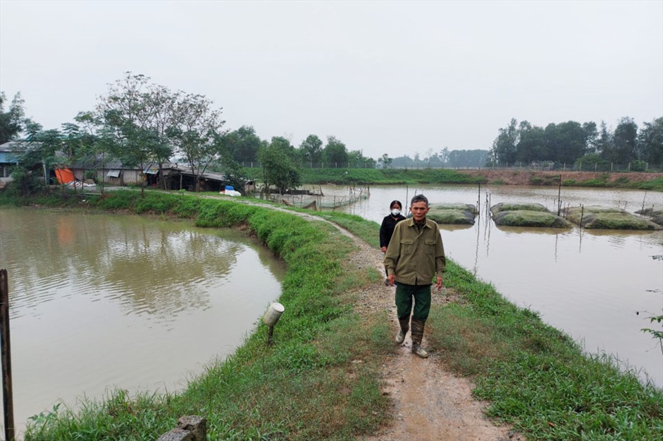 Chịu ơn của đoàn ca sỹ Thủy Tiên, vợ chồng ông Báu quyết tâm phục hồi, phát triển kinh tế trang trại lại từ đầu. Ảnh: TT.