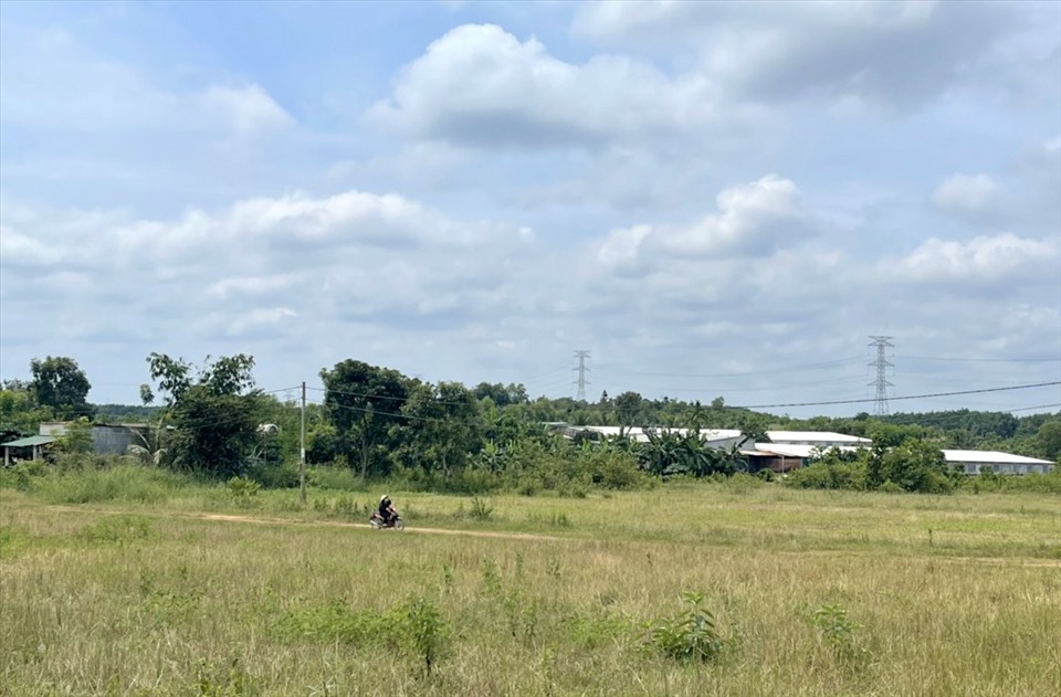 Nhiều trại chăn nuôi ở thôn Nam Tiến “mọc” ngay bên cạnh khu dân cư. Ảnh: Phan Tuấn