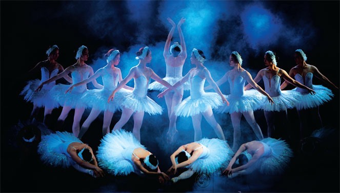 Vở “Hồ Thiên Nga” khi được biểu diễn ở nhà hát Lớn khiến khán giả nức lòng. Vở diễn đòi hỏi đầu tư lớn, với sự tham gia của 60 nghệ sĩ múa, 60 nghệ sĩ dàn nhạc, tập luyện trong suốt 6 tháng. Ảnh: VNOB