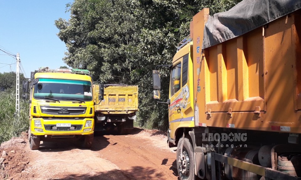 Mỗi ngày có tới cả trăm lượt xe tải từ mỏ đất của Công ty Phú Cường cày xới tuyến đường bê tông qua xóm U, Làng Ngò (xã Tân Hoà).