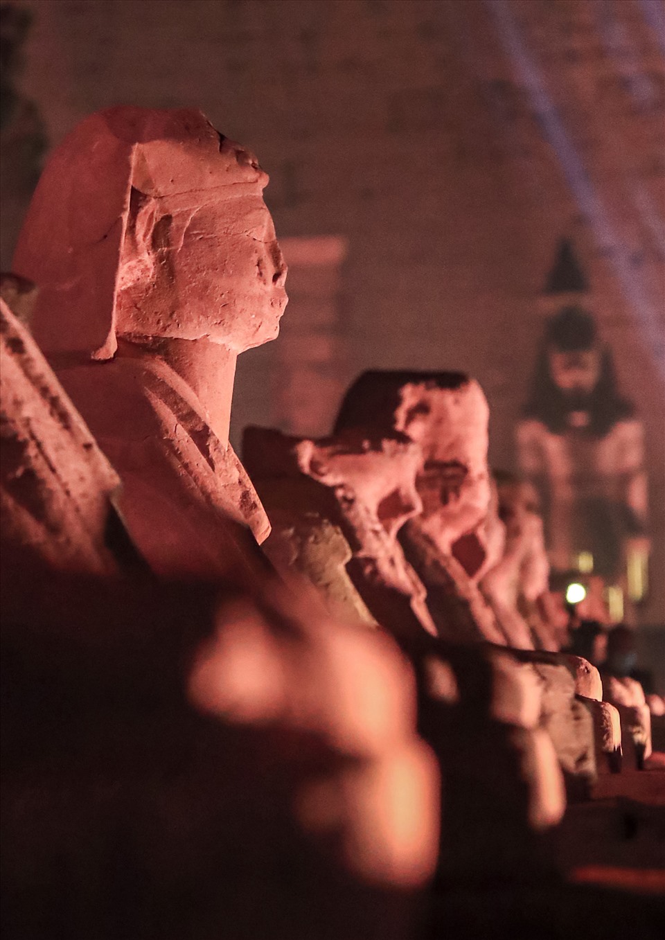 Sự kiện mở lại đại lộ nghìn năm tuổi được tổ chức nhằm thu hút du lịch trở lại Ai Cập. Ảnh: AFP