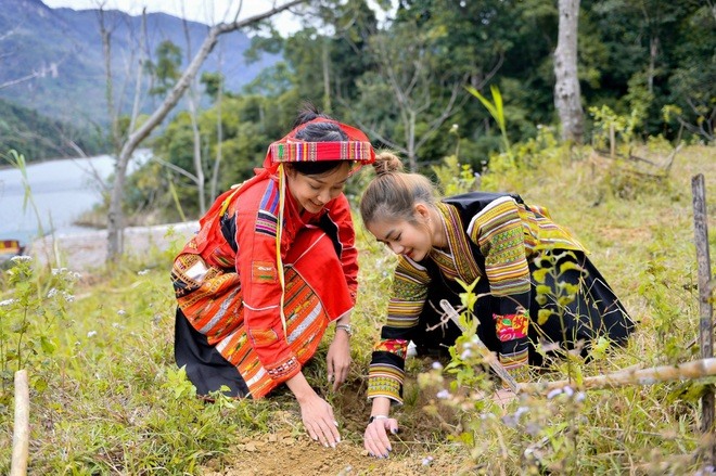 Người đẹp tham gia dự án “Trồng cây phủ xanh khu bảo tồn thiên nhiên Tuyên Quang“.