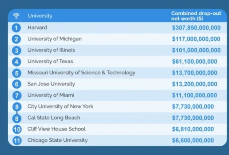 Top 10 trường đại học có lượng sinh viên bỏ học giá trị nhất. Ảnh chụp màn hình