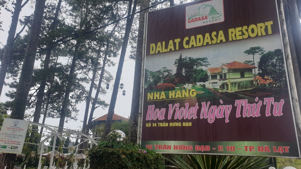 Công ty Casada sửa sang, hợp nhất chuỗi các biệt thự cổ để trở thành địa điểm có tên Dalat Casada Resort villa. Ảnh CC