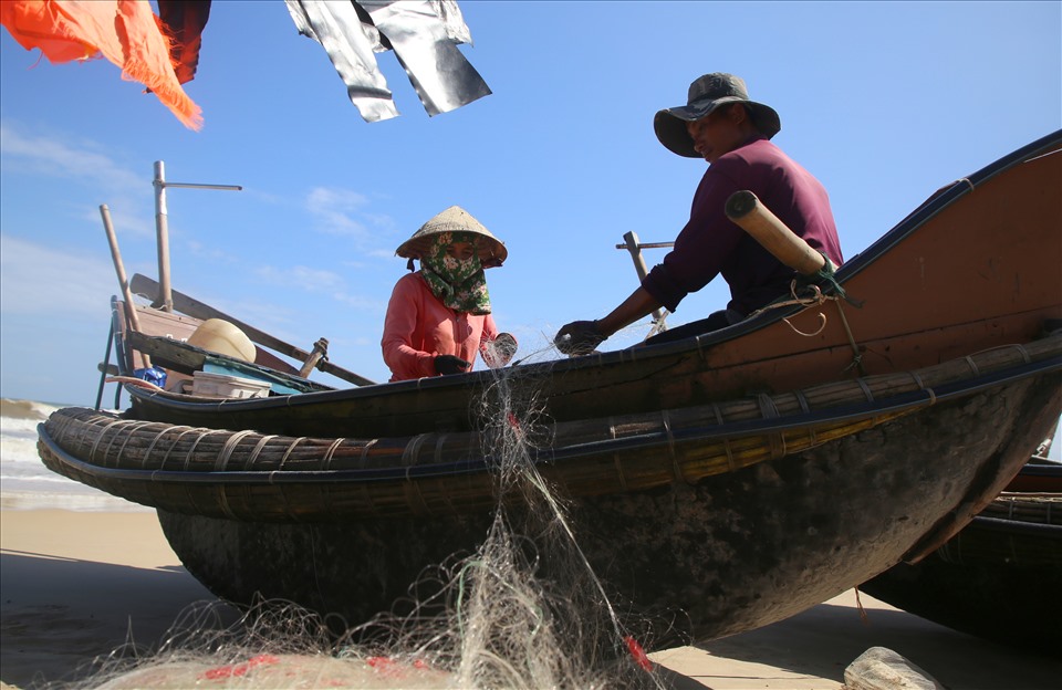 Vào bờ sớm hơn ông Mẫu ít phút, thuyền của anh Trần Văn Phong (trú tại thôn 6, xã  Triệu Lăng) cũng bắt được cá chim vàng và ghẹ xanh, nhưng số lượng ít nên chỉ bán được 500 nghìn đồng. “Thuyền mình chỉ đi 3 hải lý, chuyến này ít, trừ đi chi phí còn hơn 300 nghìn đồng” - anh Phong, cho biết.