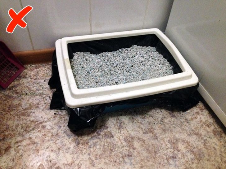 2. Hộp vệ sinh của chó mèo Chất độn hoặc cát trong hộp vệ sinh của chó mèo hấp thụ độ ẩm trong phòng tắm. Nếu hộp vệ sinh thú cưng của bạn được đặt trong phòng tắm, chất độn cũng sẽ hấp thụ hơi nước từ không khí và mất đi các đặc tính của nó. Từ đó tạo ra những mùi khó chịu. Các nhà sản xuất khuyến cáo nên bảo quản chất độn chuồng chó mèo ở nơi khô ráo, thoáng khí.