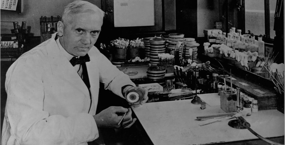 Tiến sĩ Alexander Fleming, nhà vi khuẩn học đã phát hiện ra penicillin. Ảnh: Thư viện Quốc hội Mỹ.
