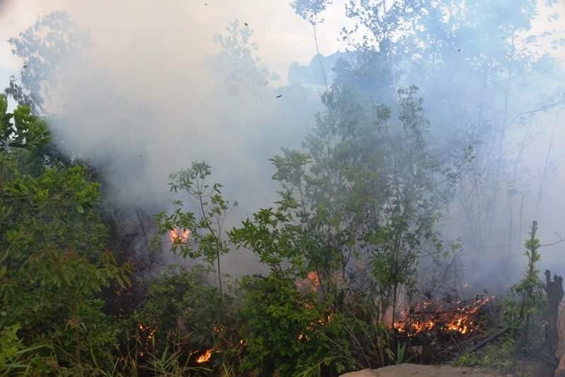 Rừng trên đồi phường Hồng Hải, TP.Hạ Long bị cháy ngày 29.5.2016. Thời điểm đó, khu rừng này đang được kiểm đếm, bồi thường để thực hiện dự án bất động sản. Ảnh: CTV