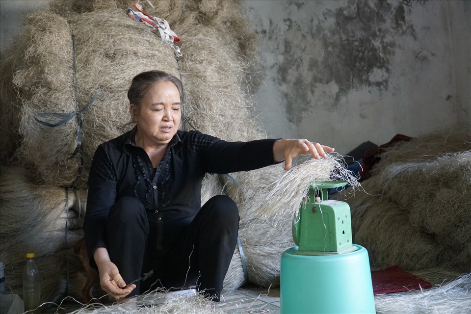 Ngồi cạnh chồng, bà Đinh Thị Hiền (SN 1958) cũng đang cắt miến sao cho thật nhanh. Những ngày này, vợ chồng bà Hiền làm không xuể. Hai ông bà không tự sản xuất miến mà chỉ nhận bó miến tại nhà cho các cơ sở.