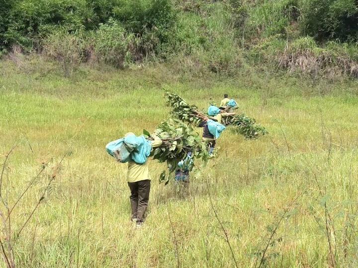 Cán bộ, người lao động Vườn Quốc gia Tà Đùng triển khai trồng rừng năm 2021. Ảnh: Phan Tuấn