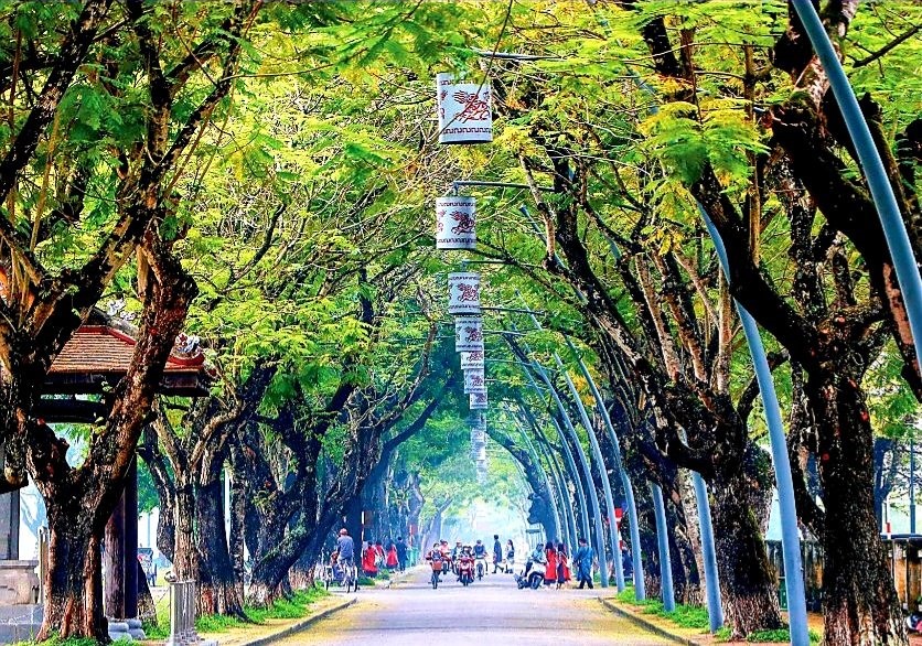 Đường 23 Tháng 8 - một trong những tuyến đường thuộc không gian phố đi bộ quanh Hoàng thành Huế. Ảnh: PĐ.
