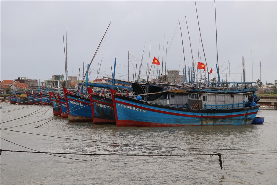 Chiều 17.12, nhiều tàu thuyền tại Thị xã Sông Cầu đã về neo đậu tại khu vực an toàn tránh bão số 9. Ảnh: Phương Uyên
