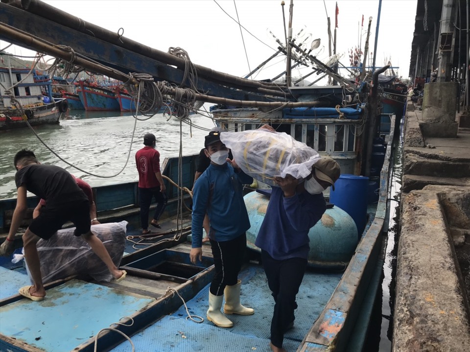 Ngư dân Khánh Hòa vào tránh bão, tranh thủ bán hải sản đánh bắt trước đó. Ảnh CC