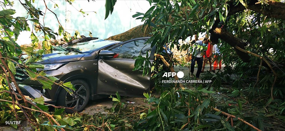 Cây đổ đè bẹp ô tô ở thành phố Surigao. Ảnh: AFP