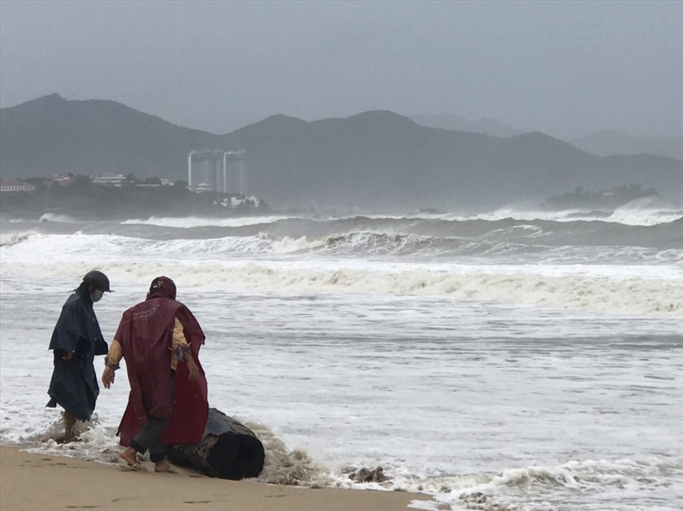 Tỉnh Khánh Hòa đã tiến hành cấm các biển báo tại các bãi biển nghiêm cấm du khách tắm biển và neo đậu tàu thuyền trú ẩn an toàn. Ảnh CC