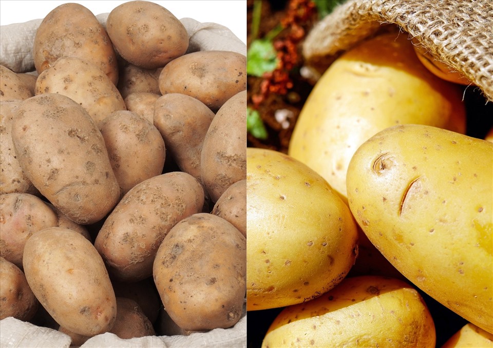 Một trong những mẹo giúp khoai tây để lâu vẫn không bị mọc mầm đó là nên bảo quản khoai ở những nơi thoáng khí. Ảnh minh họa: Hải Ngọc