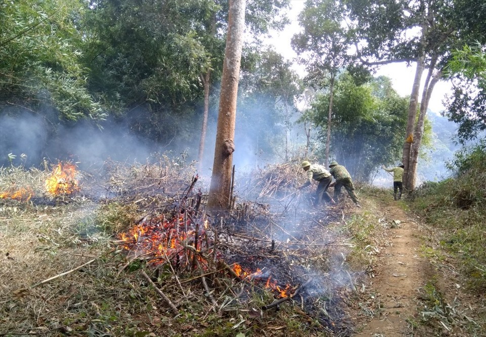 Lực lượng chức năng tỉnh Đắk Nông đốt thực bì. Ảnh: Phan Tuấn