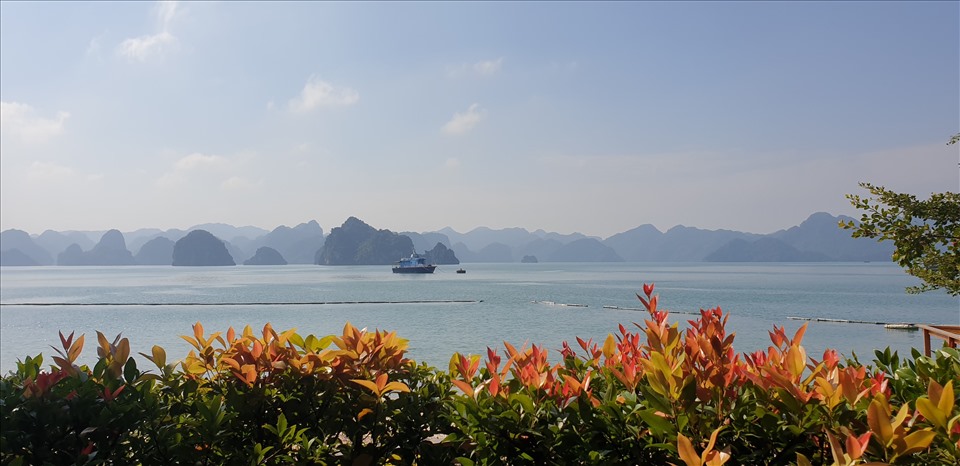 Vịnh Hạ Long được chọn là 1 trong những điểm đầu tiên để đón khách quốc tế. Ảnh: Nguyễn Hùng
