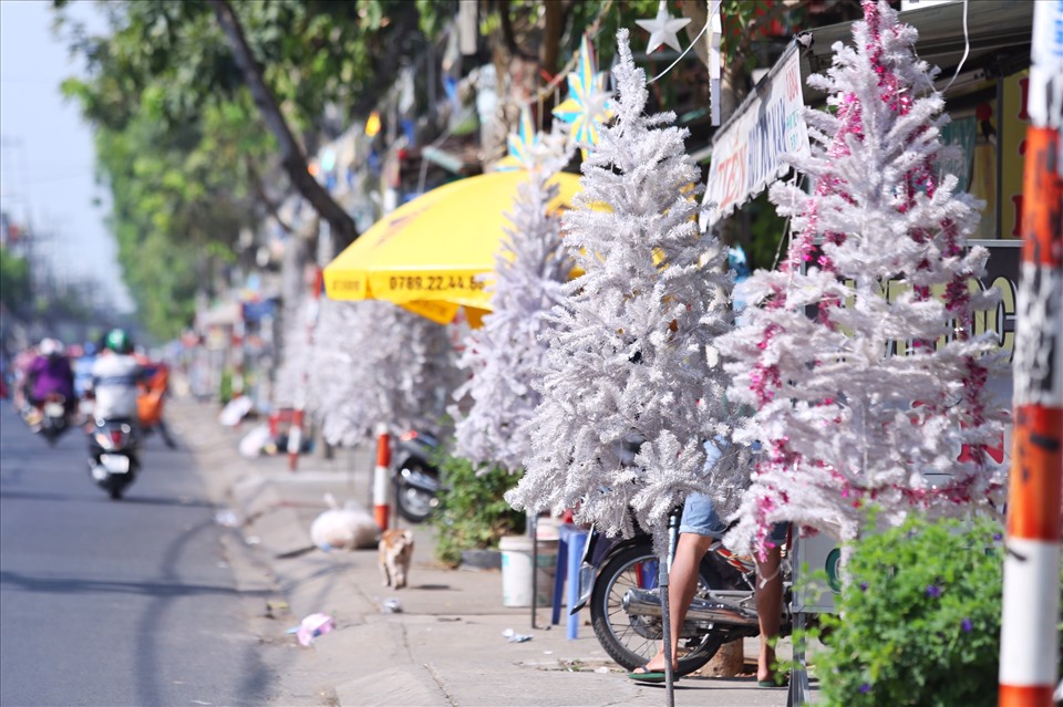 Ở mọt góc đường, nhiều gia định đặt cây thông trước cửa nhà để mừng Giáng sinh.
