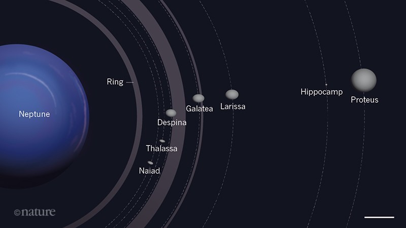 Sao Hải Vương với 14 mặt trăng đứng thứ tư trong danh sách. Ảnh: Wiki