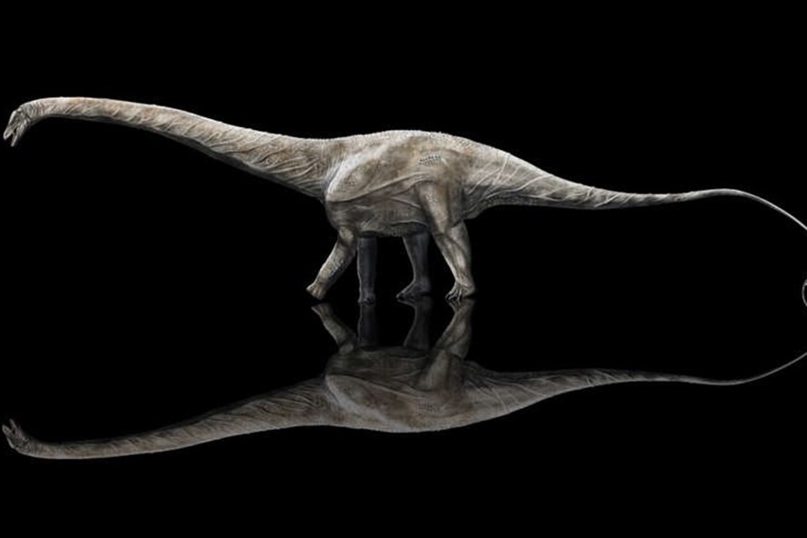 Loài khủng long dài nhất trên Trái đất đã được xác nhận. Ảnh: Brian Curtice