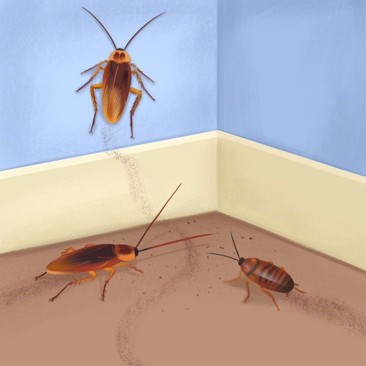 Trong nhà bỗng nhiên có những mùi hôi khó chịu là một trong những dấu hiệu cho thấy côn trùng đã xâm nhập vào nhà. Ảnh: Bright side