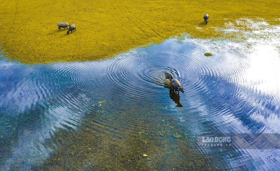 Đến khu vực làng ven Thác Bà nơi có những đồng bào Tày, Nùng, Mông, Dao, Phù Lá, Cao Lan... vẫn nhiều nét đơn sơ, thần bì và bình yên.