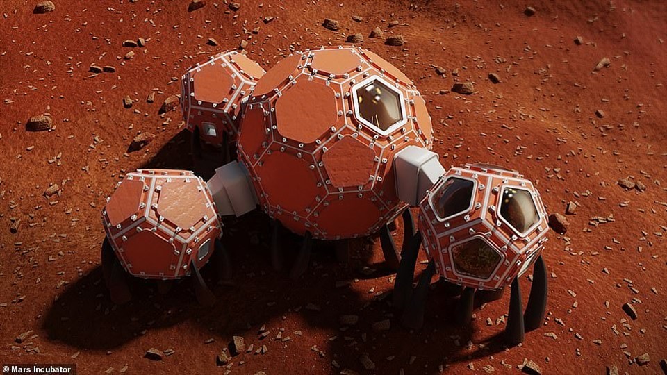 1 trong 3 thiết kế lọt vào vòng chung kết cuộc thi của NASA. Ảnh: Mars Incubator