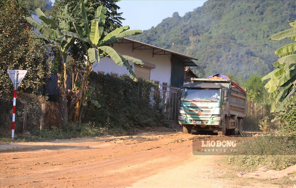 “Binh đoàn” xe tải này của Công ty TNHH MTV Đầu tư và Xây dựng Hoàng Dân đang thi công tuyến đường từ đường Tân trào qua làng Dùm, Thiền Viện Chính Pháp đến Đền Cấm xã Tràng Đà.