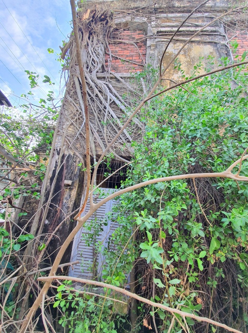 Do bị bỏ hoang nhiều năm nên căn nhà đã xuống cấp trầm trọng. ảnh: Nhật Hồ