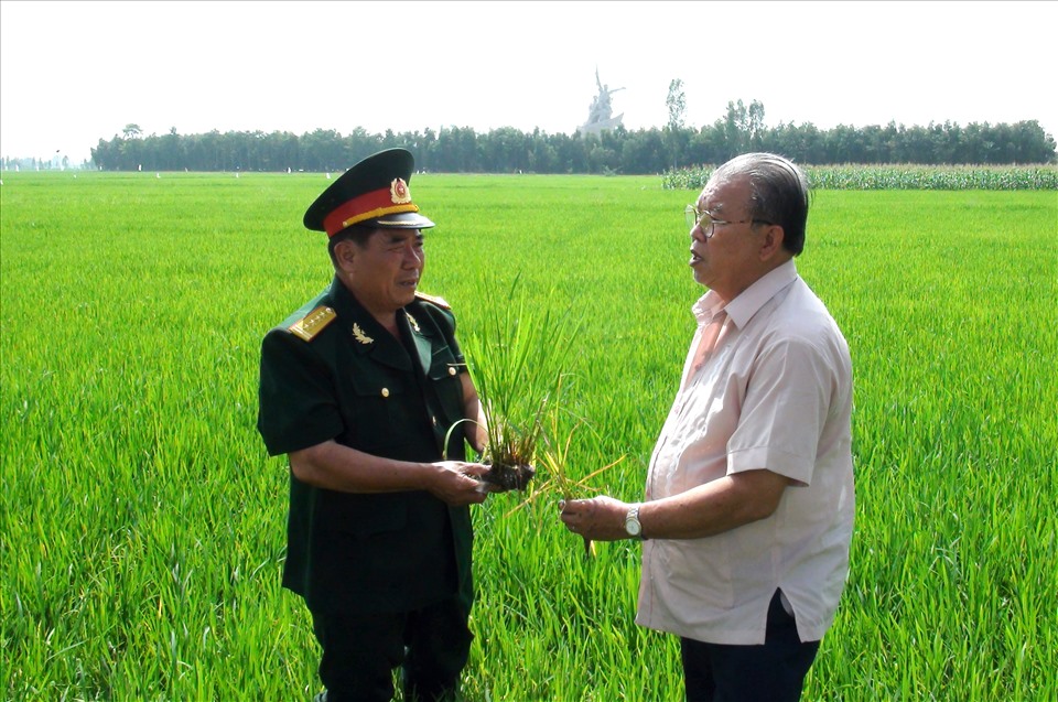 GS.TS Võ Tòng Xuân trong lần vào thăm vùng trồng lúa ở Tân Hồng (Đồng Tháp). Ảnh: LT