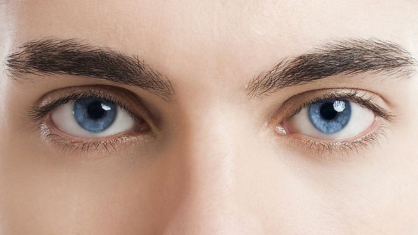 2. Mắt xanh  Mắt xanh được cho là quyết định bởi gene HERC2, gene dẫn đến sự giảm melanin trong lòng đen của mắt. Chỉ 8% dân số thể giới có mắt xanh.