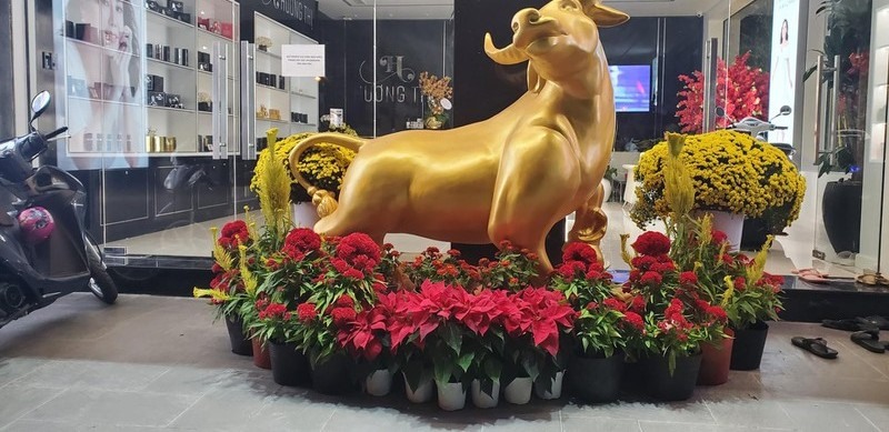 Không gian phòng khách trong biệt thự của Việt Hương