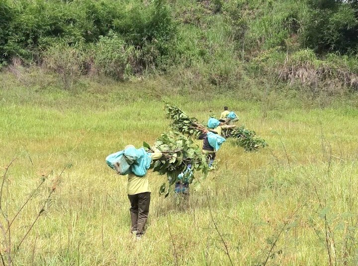 Hành trình vất vả của lực lượng quản lý bảo vệ rừng ở Tây nguyên. Ảnh: Phan Tuấn