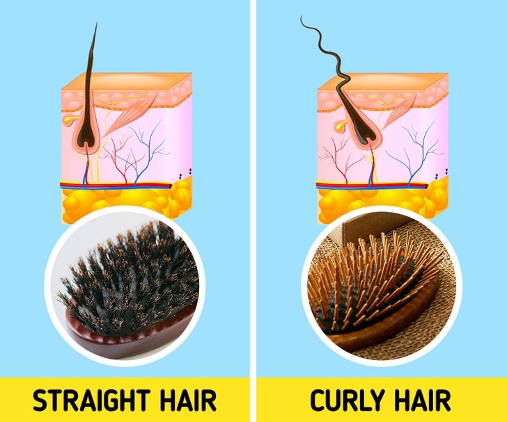 Sử dụng lược phù hợp có thể giúp tóc bạn không bị gãy rụng và ngăn ngừa những tóc rối. Nếu bạn có mái tóc xoăn và gợn sóng, hãy chọn loại lược có mái chèo, vì nó sẽ dễ dàng tháo các nút thắt. Nếu tóc của bạn vẫn ổn nhưng không đủ độ phồng, một chiếc lược có lông sẽ nhẹ nhàng lướt qua các sợi tóc của bạn mà không làm hư tóc hoặc kéo chân tóc.