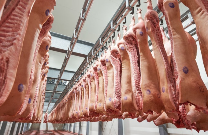 Nga có thể phải tăng lượng thịt lợn nhập khẩu do dịch tả lợn Châu Phi khiến nguồn cung thiếu hụt. Ảnh: TL