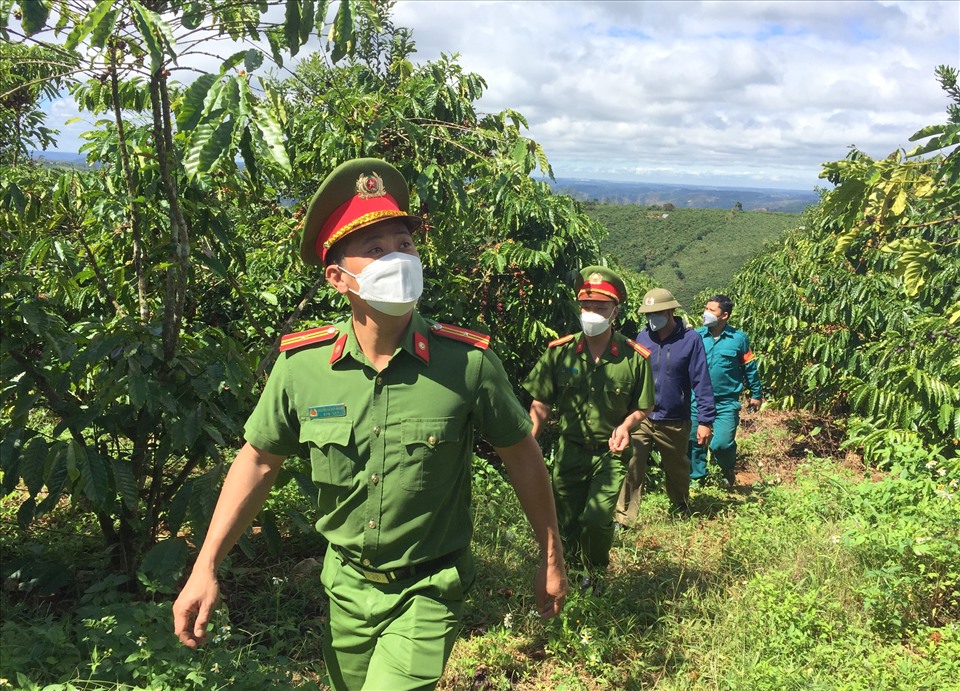 Các lực lượng chức năng ở Đắk Nông tổ chức tuần tra, kiểm soát, bảo vệ cà phê cho người dân. Ảnh:MQ