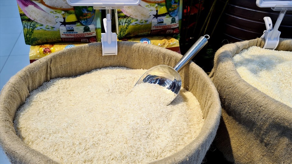 Lượng lúa gạo tại ĐBSCL đang rất lớn. Ảnh: Vũ Long