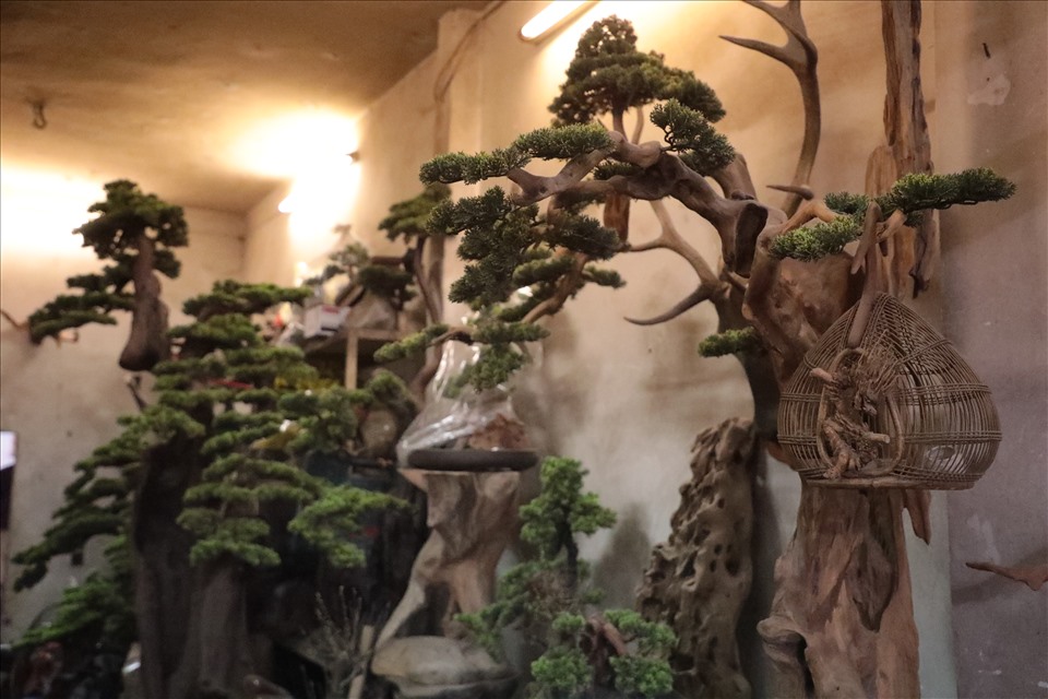 Bên cạnh đó, tiểu cảnh bonsai cũng được nhiều người quan tâm. Bởi trưng bày những  chậu cây này trong dịp Tết không chỉ tô điểm cho không gian mà còn mang ý nghĩa tài lộc, rước may mắn vào nhà.