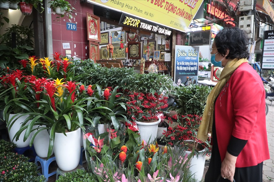 Bà Hoa - một người dân đi dạo đường Hoàng Hoa Thám cho biết: “Tết năm nào tôi cũng đi mua hoa ở đây bởi giá cả phải chăng và đa dạng chủng loại để mình có thể chọn lựa. Tôi cũng ưu tiên các chậu cây sặc sỡ sắc màu, đặc biệt là màu đỏ may mắn“.