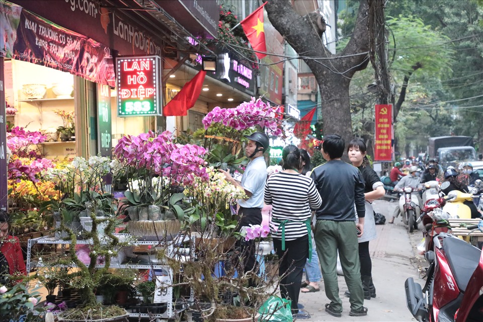Tại đường hoa Hoàng Hoa Thám, từ cửa hàng đến các vỉa hè đều bày bán những chậu hoa lan sặc sỡ sắc màu và thu hút nhiều người mua.