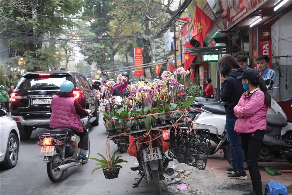 Tại đường hoa Hoàng Hoa Thám, từ cửa hàng đến các vỉa hè đều bày bán những chậu hoa lan sặc sỡ sắc màu và thu hút nhiều người mua.