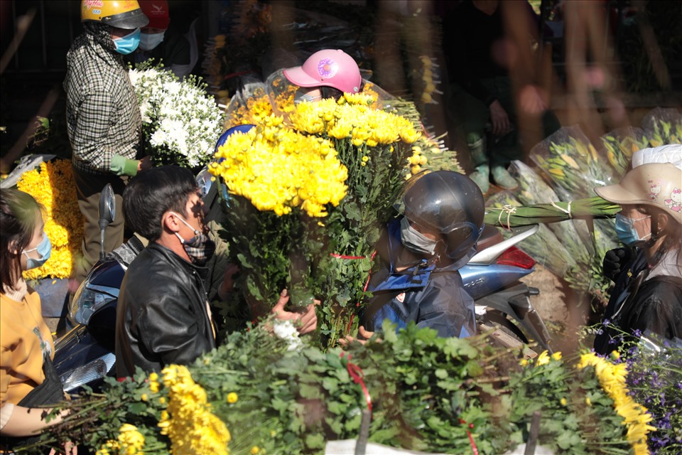 Ngoài lượng hoa tươi nhiều như bình thường, chợ hoa Quảng Bá còn tiếp nhận thêm một lượng cây, hoa cảnh rất lớn: Quất, đào, mai, cúc, chậu bonsai,...