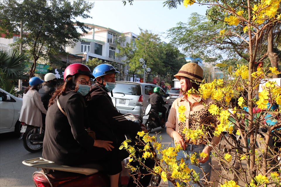 Chị Hương- chủ một địa điểm bán mai trên đường Lạc Long Quân (Tây Hồ, Hà Nội) cho biết: Tùy thế cây và kích thước, cây mai vàng được bán với giá từ 1-2 triệu đến vài chục triệu/cây.