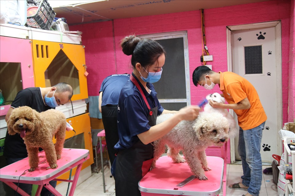 Dịch vụ chăm sóc thú cưng dịp Tết đắt khách, nhân viên phải làm việc liên tục đáp ứng nhu cầu của “thượng để“.