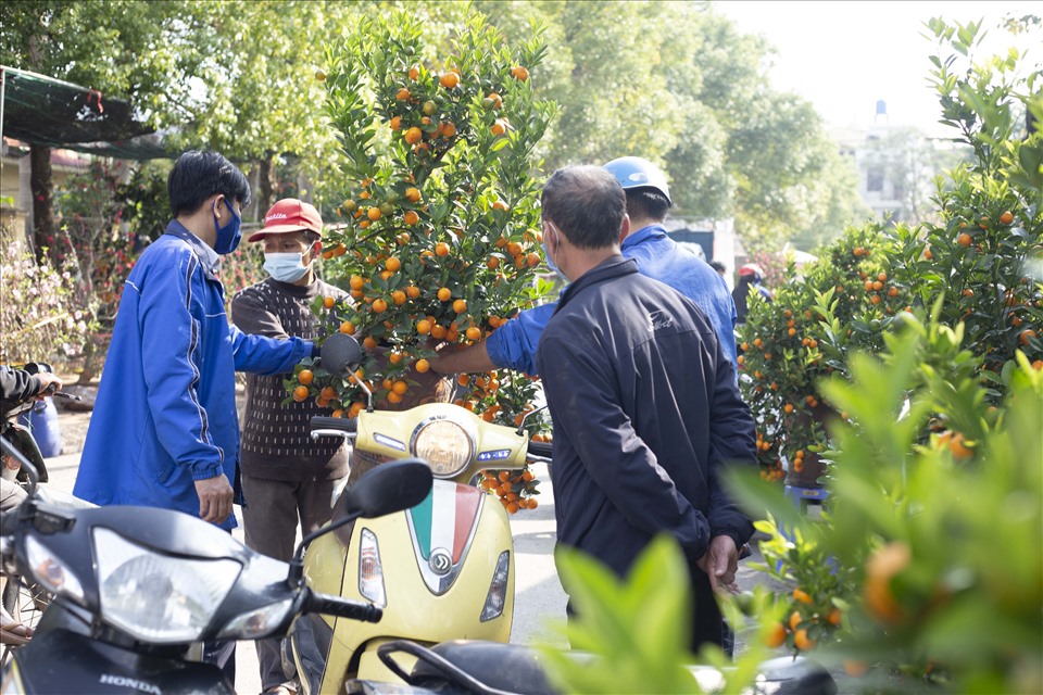 Những ngày giáp Tết Nguyên đán, các khu chợ hoa xuân ở các địa phương trong tỉnh Hưng Yên được bày bán với đa dạng các loại hoa, cây cảnh phục vụ nhu cầu người dân chơi Tết. Ảnh: Văn Hải
