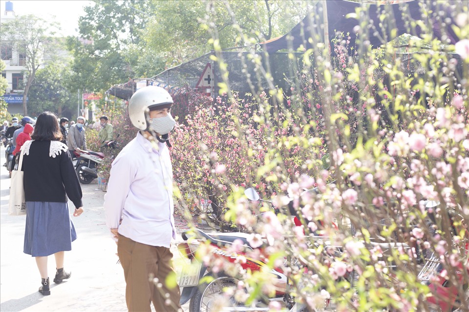 Theo anh Bùi Tiến Dũng – Chủ gian hàng bán hoa, cây cảnh tại TP Hưng Yên, năm nay do ảnh hưởng của dịch COVID-19 nhu cầu chơi đào của người dân đã giảm nhiều so với mọi năm mặc dù hoa năm nay khá đẹp. Ảnh: Văn Hải