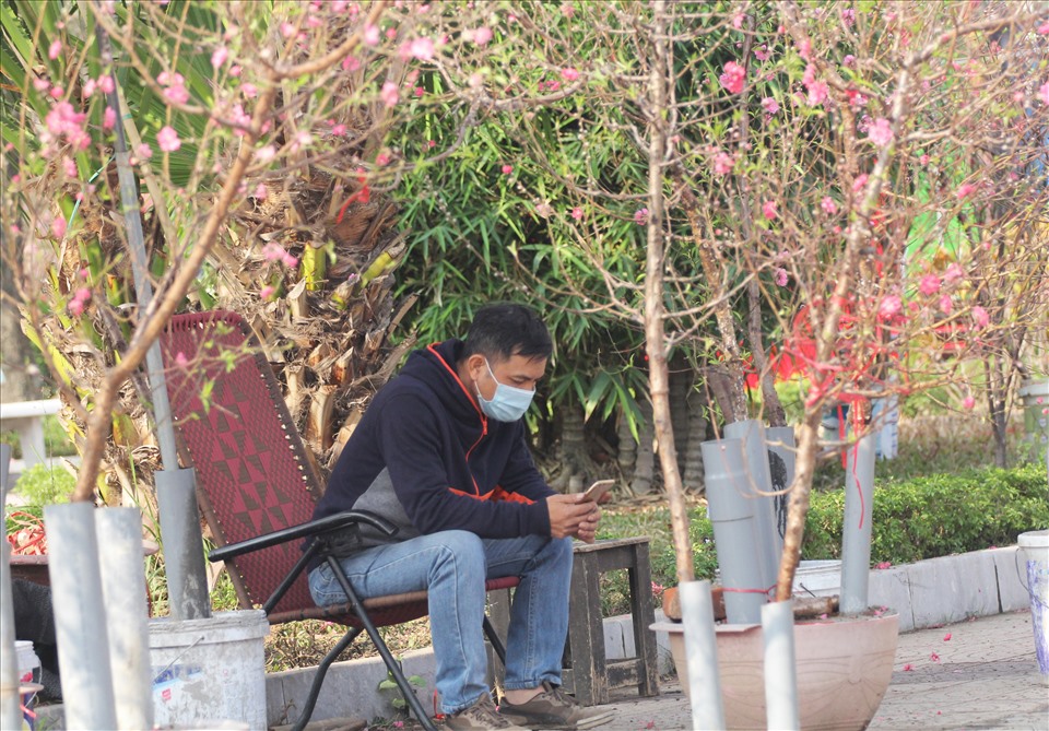 Các tiểu thương chán nản ngồi bên cạnh chậu hoa cây cảnh của mình.