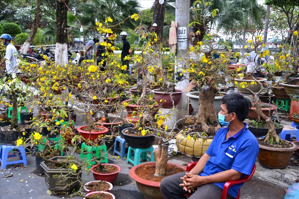 Ở An Giang, chợ hoa Tết tại TP Long Xuyên không chỉ có quy mô lớn, thu hút nhiều địa phương trong và ngoài tỉnh mang kỳ hoa, dị thảo đến bán mà sức mua ở đây cũng rất mạnh. Ảnh: Lục Tùng