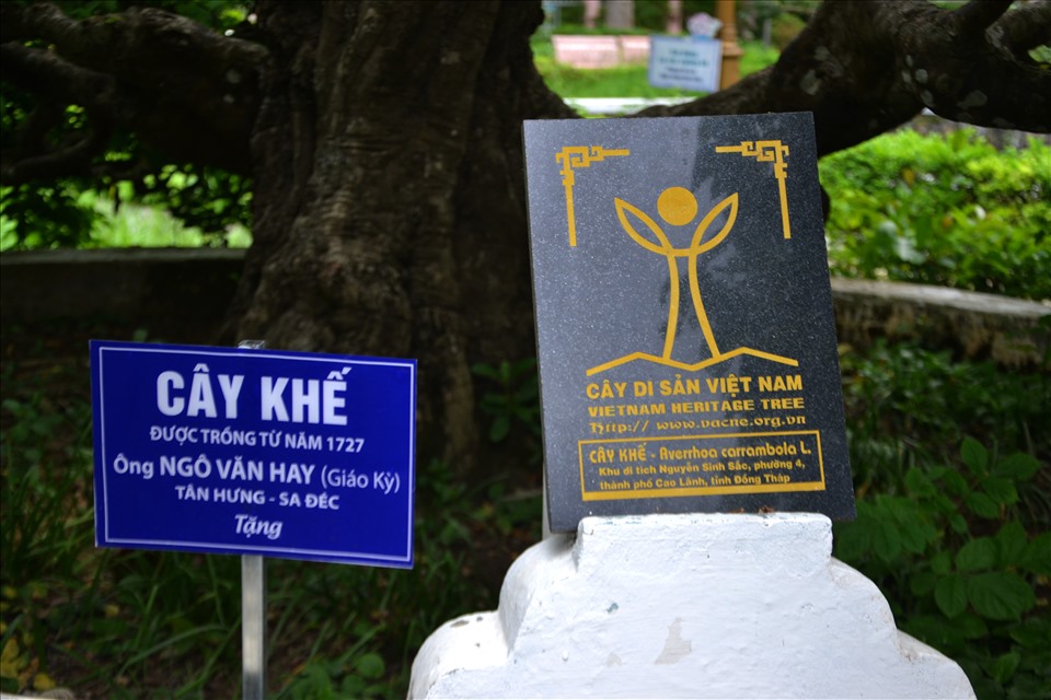 Nơi đây có 2 cây khế và sộp trồng cạnh khu mộ cụ Nguyễn Sinh Sắc được Hội Bảo vệ thiên nhiên và môi trường Việt Nam công nhận là cây Di sản Việt Nam vào ngày 18.12.2014 và trở thành những cây cổ thụ đầu tiên của tỉnh Đồng Tháp được công nhận là cây Di sản Việt Nam. Ảnh: Lục Tùng
